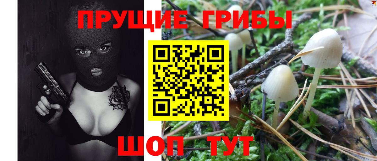 Кулебаки  Псилоцибиновые грибы Psilocybe  Галлюциногенные грибы прущие грибы  Вход с VPN 